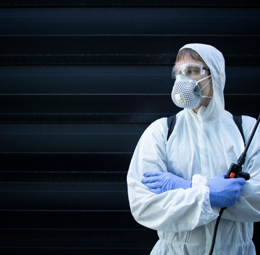 exterminateur